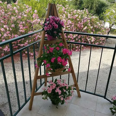 La Rondine *